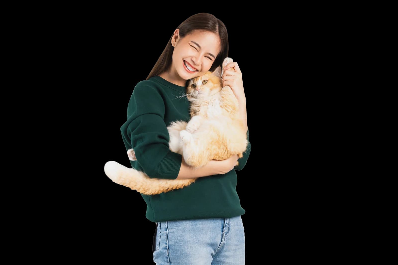 Person hugging a ginger cat