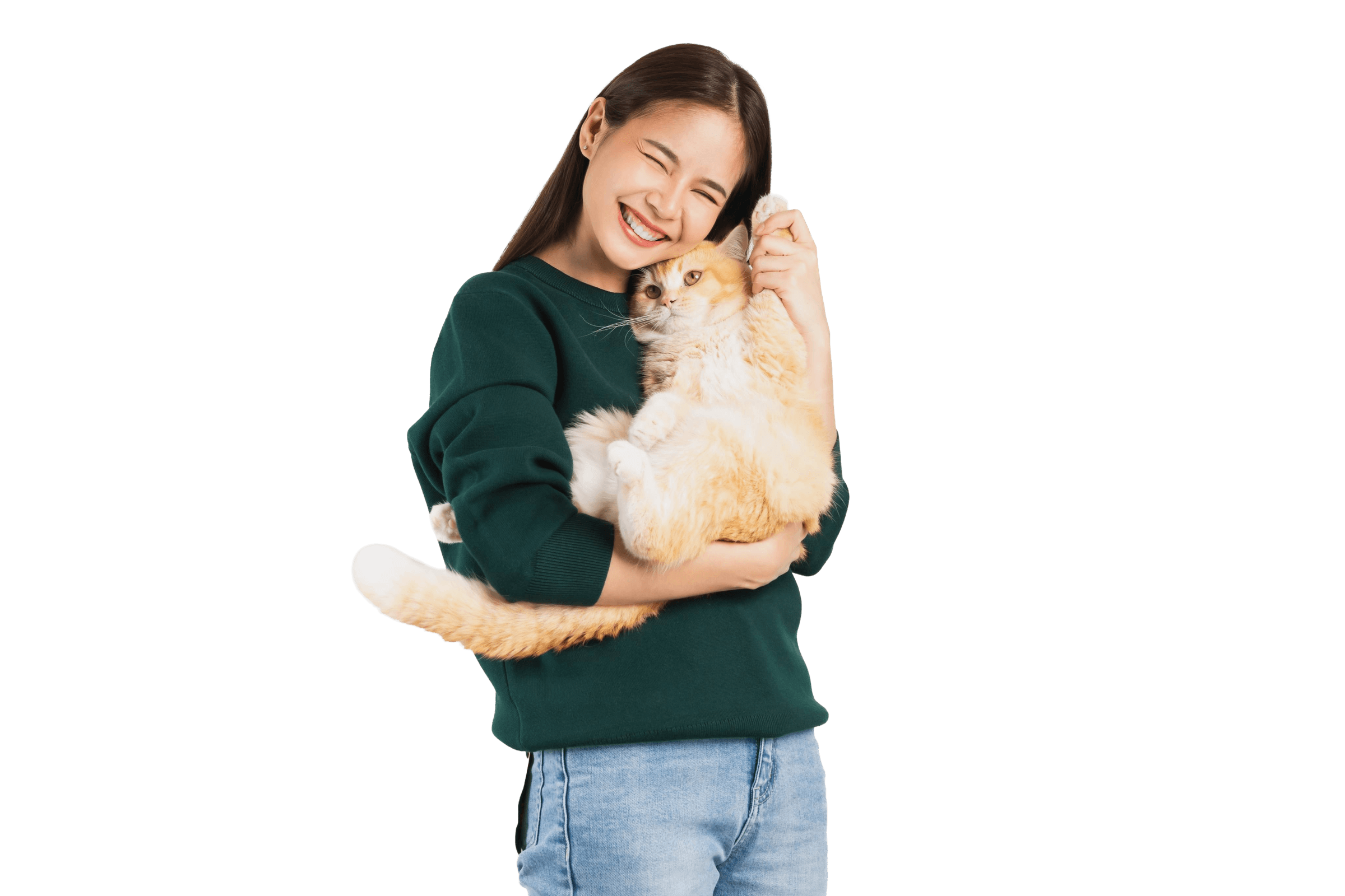 Person hugging a ginger cat